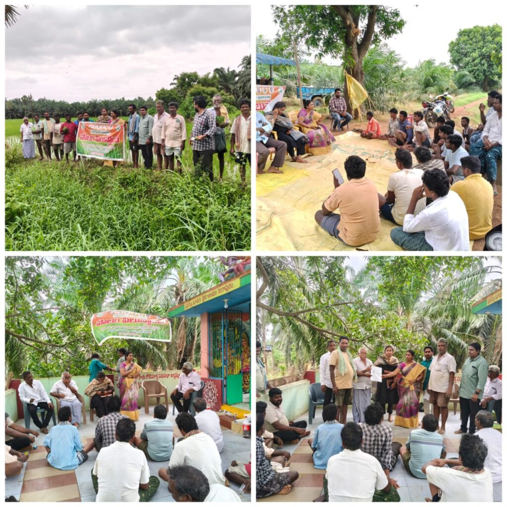 ఎల్‌నినో ప్రభావం.. ప్రత్యామ్నాయ పంటల సాగుపై రైతులకు అవగాహన