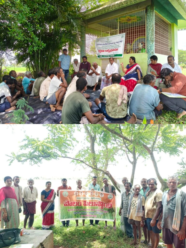 ఎల్‌నినో పరిస్థితుల్లో వరి రైతులు అప్రమత్తంగా ఉండాలి